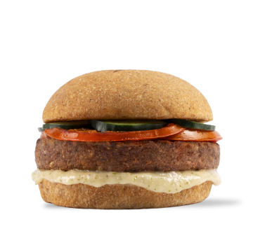 DAVID VEGAN